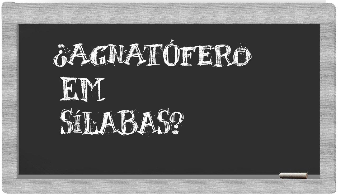 ¿agnatófero en sílabas?