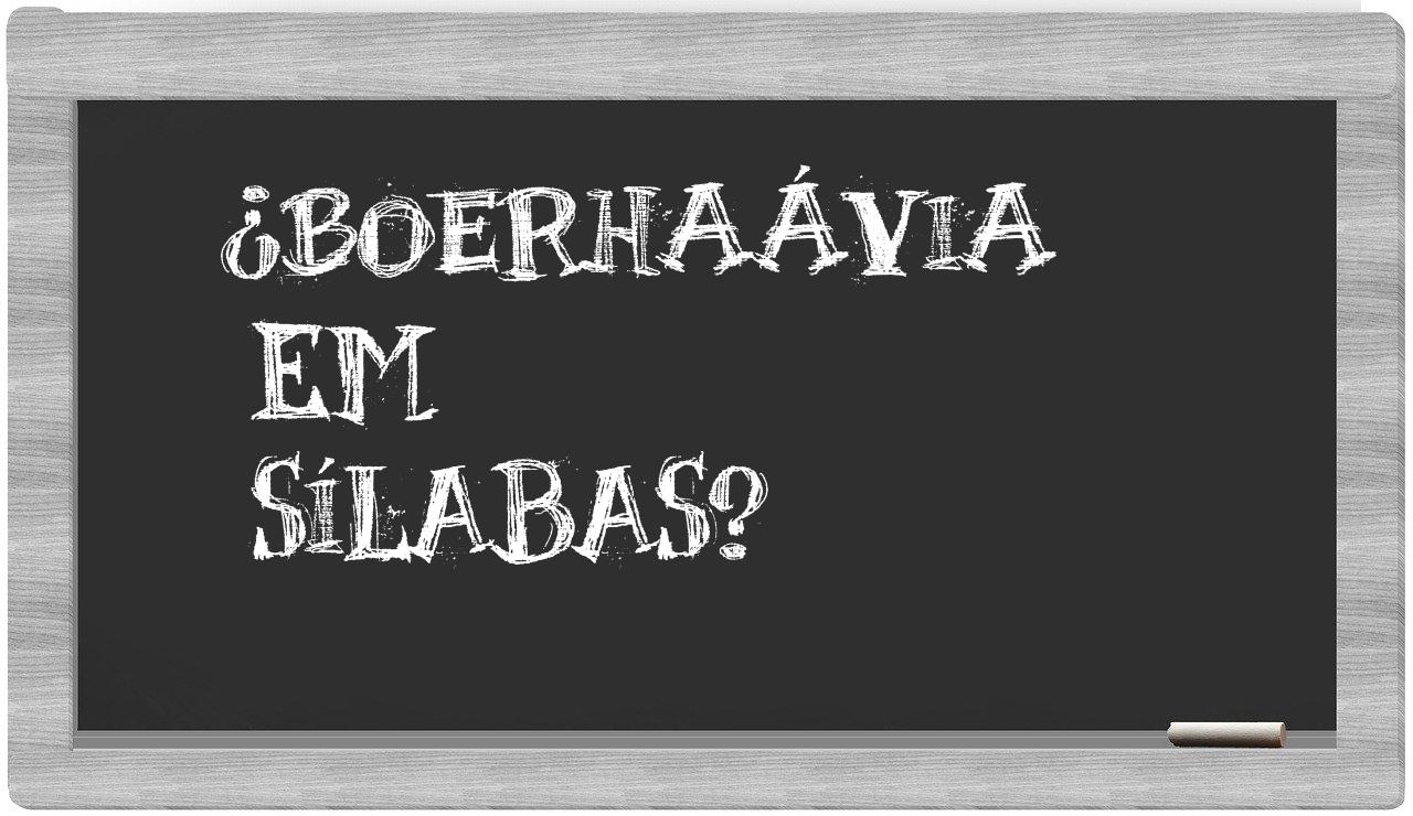 ¿boerhaávia en sílabas?