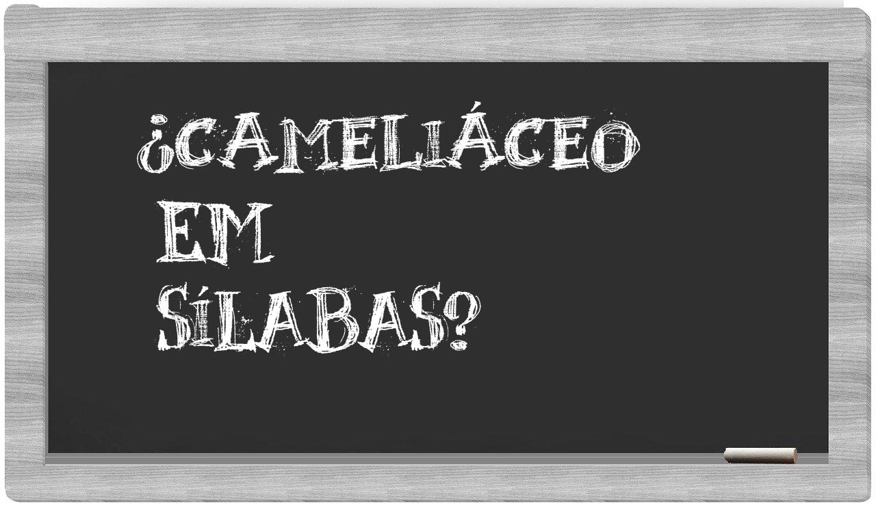 ¿cameliáceo en sílabas?