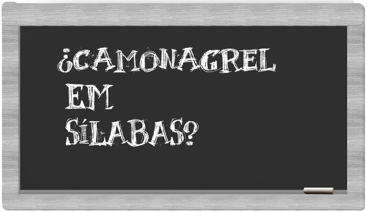 ¿camonagrel en sílabas?